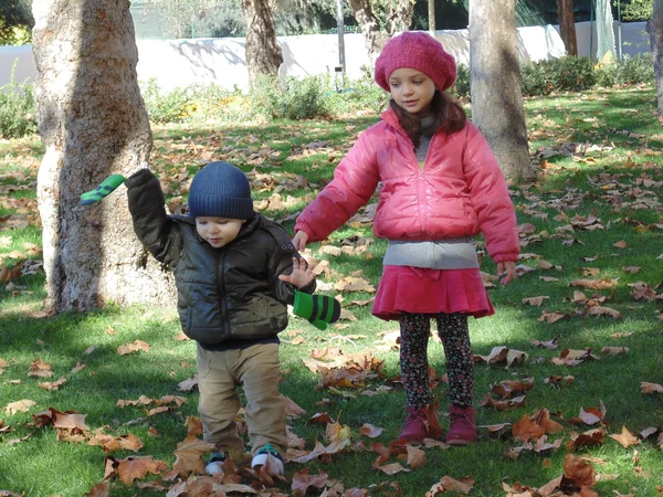 Sister and brother in autumn park N 10. — Stock Photo, Image