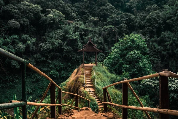 Camino Hermoso Mirador Madera Bosque Verde Fresco Indochina Cascada Tad — Foto de Stock