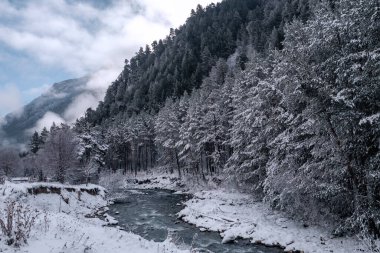 Güzel bir kış gününde dağ nehri. Kar ormanı. Kafkas Dağları, Elbrus Bölgesi.