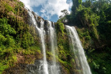Tropikal yağmur ormanlarında Tad Yuang şelalesi. Laos