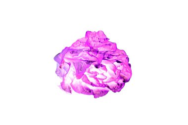 Güzel bir mor şakayık çiçeğinin yakın çekimi. beyaz arkaplanda izole.