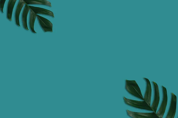 Liście Palmy Niebieskim Kolorem Letniego Tła Kopią Miejsca Projekt Koncepcję — Zdjęcie stockowe