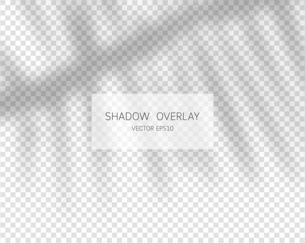 Schatten Overlay Effekt Natürliche Schatten Isoliert Auf Transparentem Hintergrund Vektorillustration — Stockvektor