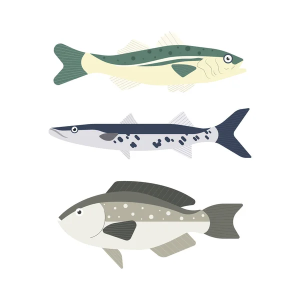 Набор Речной Рыбы Рыба Изолирована Белом Фоне Векторная Иллюстрация — стоковый вектор