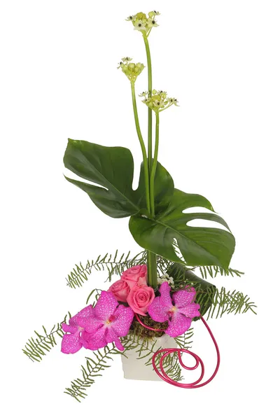 Färgstarka blomsterarrangemang — Stockfoto