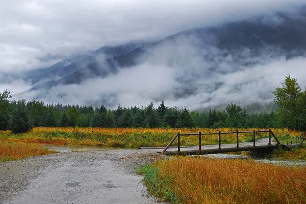 Prato dell'Alaska — Foto Stock