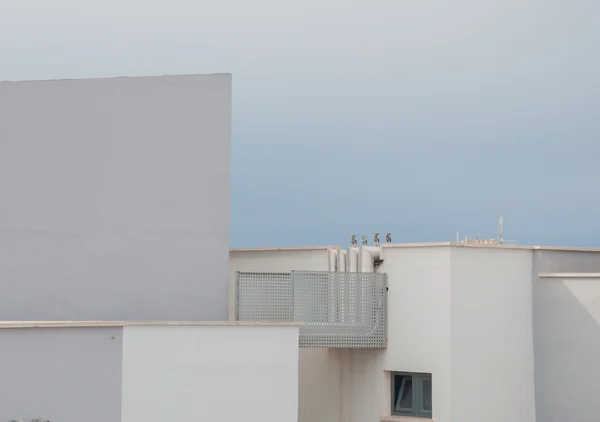 Edificios blancos — Foto de Stock