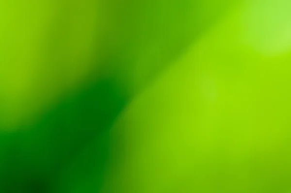 녹색 잎 흐림 매크로 — 스톡 사진