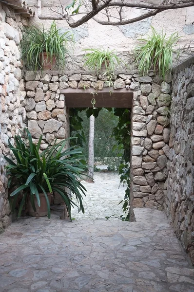 Portal de pared de piedra seca con plantas . —  Fotos de Stock