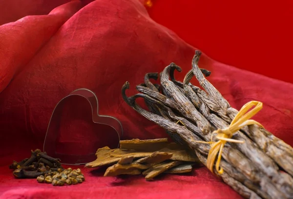 Vanilla pods spices and heart — Stock Photo, Image