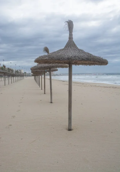 Straw parasols in a row on sandy beach — Stock Photo, Image