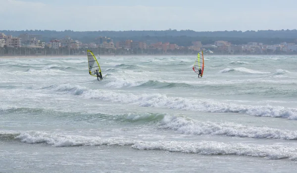 在有风的海滩上的两个玩帆板帕尔马 — 图库照片