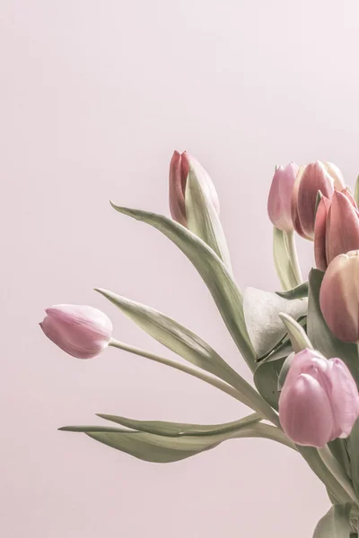 Group of vintage tulips — Stock Photo, Image