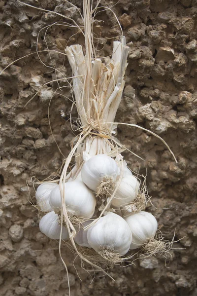 Bouquet d'ail et mur de stuc — Photo