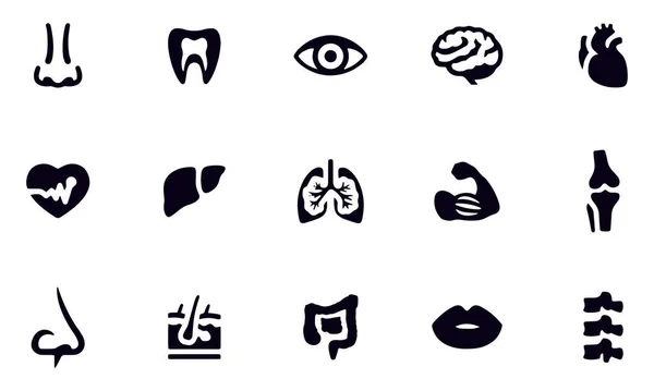 Human Internal Organ Vector Symbols Icons — Stockvektor