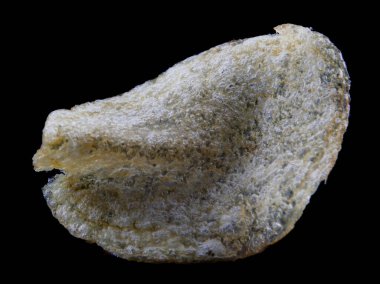 Çıtır patates cipsi siyah arka planda izole edilir..