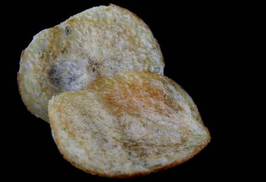 Çıtır patates cipsi siyah arka planda izole edilir..