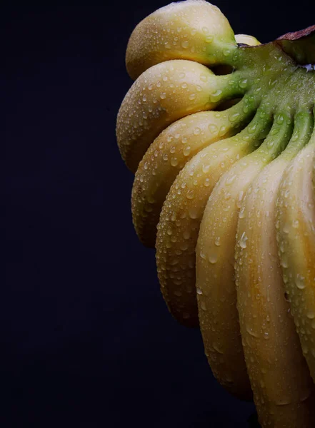 Krásná Velká Parta Zralých Banánů Kapkami Vody Slupce — Stock fotografie
