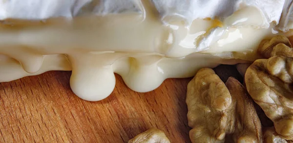 Camembert Cheese White Noble Mold — Foto de Stock