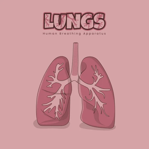 粉色人体呼吸装置的隆起设计 — 图库矢量图片
