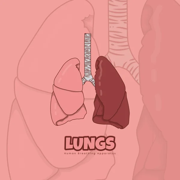 Pulmones Diseño Dibujos Animados Para Plantilla Salud Fondo Rosa — Archivo Imágenes Vectoriales