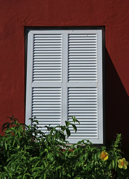 Persianas de ventana abiertas - rojo —  Fotos de Stock