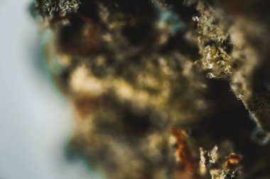 Marihuana, çiçek esrarı, trikolar ve pastaların makro görünümü.