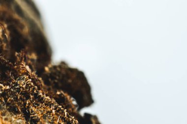 Marihuana, çiçek esrarı, trikolar ve pastaların makro görünümü.