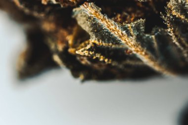 Marihuana, çiçek esrarı, trikolar ve pastaların makro görünümü.