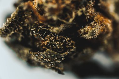 Marihuana, çiçek esrarı, trikolar ve pastaların makro görünümü.