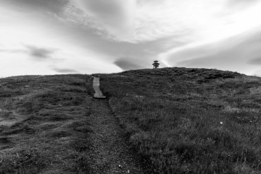 Batı İzlanda 'daki Stikkysholmur Limanı' ndaki Sugandisey Yarımadası 'nın burnundaki kırmızı deniz feneri.