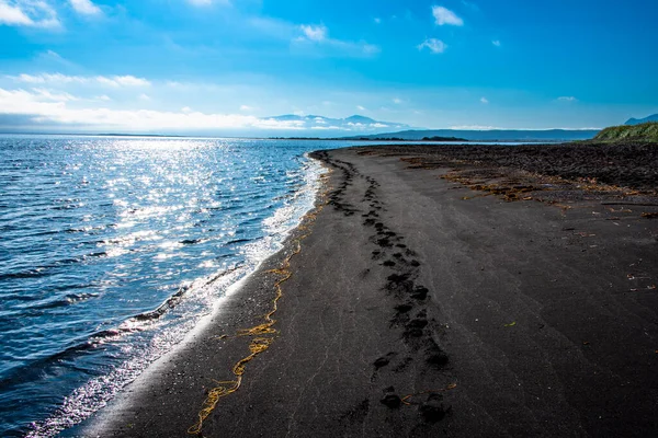 Playa Negra Con Huellas Guijarros Península Vatnsnes Norte Islandia — Foto de Stock
