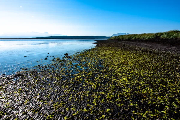 Playa Negra Con Huellas Guijarros Península Vatnsnes Norte Islandia —  Fotos de Stock