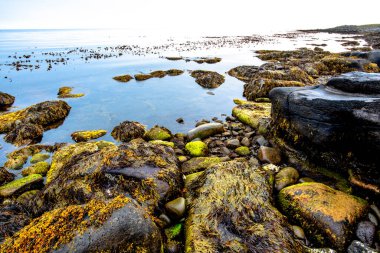 İzlanda 'nın Nordurping Belediyesi' nde Husavik yakınlarındaki Tjornes 'e 66 paralel, Kuzey İzlanda' da dalgaların çekildiği çakıl taşı plajı.