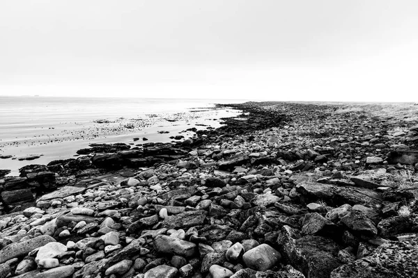 Kavicsos Strand Apálykor Észak Izlandon Párhuzamosan Tjornes Közel Husavik Önkormányzat — Stock Fotó