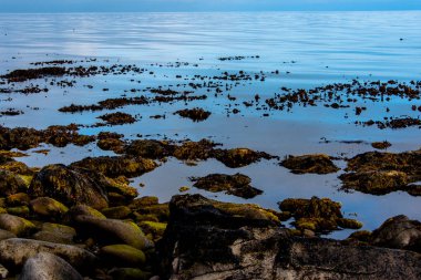 İzlanda 'nın Nordurping Belediyesi' nde Husavik yakınlarındaki Tjornes 'e 66 paralel, Kuzey İzlanda' da dalgaların çekildiği çakıl taşı plajı.