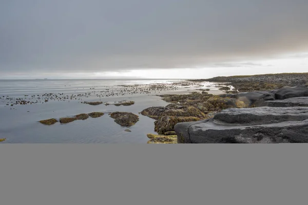 アイスランド北部の干潮時の小石のビーチは アイスランドのノルトルピングの自治体のHusavik近くのTjornesと並行して66 — ストック写真