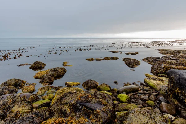 アイスランド北部の干潮時の小石のビーチは アイスランドのノルトルピングの自治体のHusavik近くのTjornesと並行して66 — ストック写真