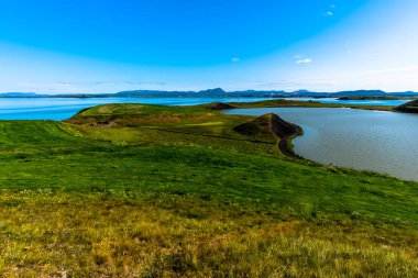 Yansımaları ve adaları olan volkanik Myvatn Gölü, Kuzey İzlanda 'da yeşil çayırlar ve mavi gökyüzü