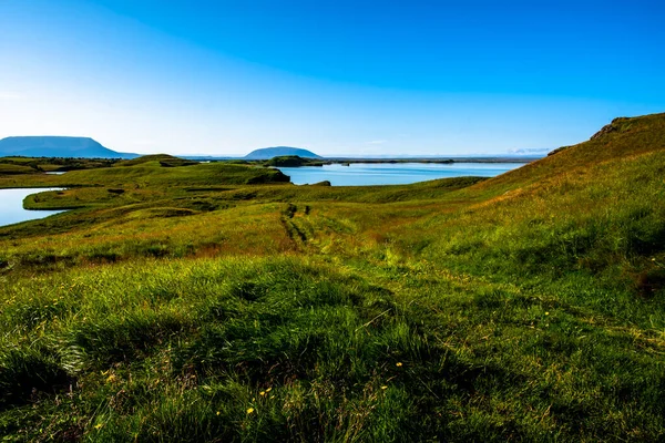 Vulkanisch Meer Myvatn Met Reflecties Eilanden Groene Weiden Blauwe Luchten — Stockfoto