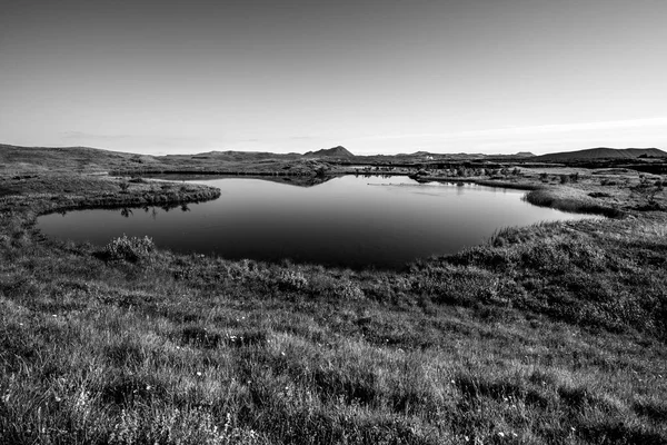 Volcanic Lake Myvatn Reflections Islands Green Meadows Blue Skies Northern — Stock Fotó