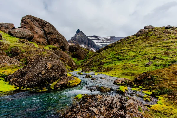 Storurd Borgarfiordur Eystri Giant Boulders Oasis Meadows Lakes Surrounded Sheer — Stockfoto