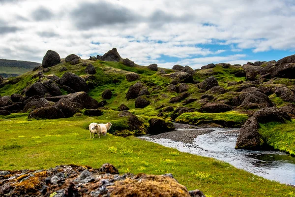 Borgarfiordur Eystri Yakınlarındaki Bir Fırtınada Dev Kayalar Eğimli Pürüzlü Dağlarla — Stok fotoğraf