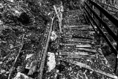 Vicenza Veneto İtalya 'da yapraklarla kaplı eski kırık ahşap köprü.