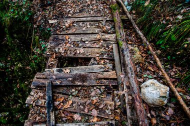 Vicenza Veneto İtalya 'da yapraklarla kaplı eski kırık ahşap köprü.