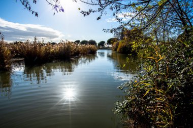 İtalya Nehri 'nin su aynasındaki sazlıklar arasındaki yansımalar.