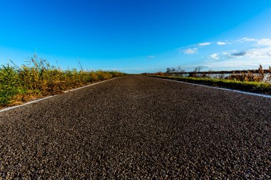 Güneşli bir yaz gününde, ıssız bir yolun sıcağından asfaltı çatlatmış.
