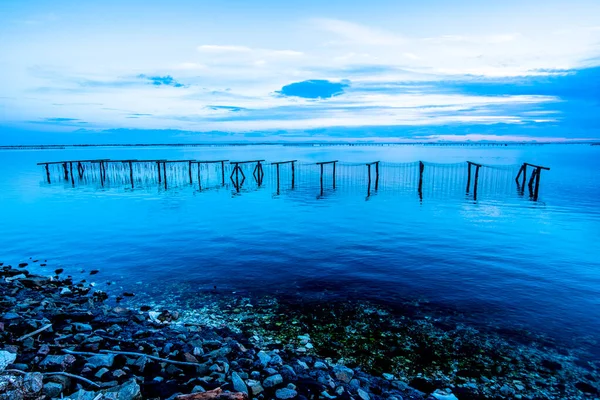 Bricole Palisades Mussel Farm Mouth River Delta — Foto de Stock