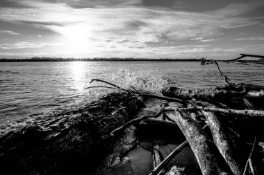Dalgalar, Rovigo İtalya 'daki Po nehrinin kumtaşı sahillerindeki terk edilmiş kütüklere çarpar.