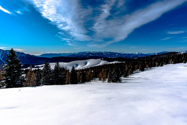Snow Pines Clouds Mountains Alps Cima Larici Asiago Vicenza Veneto — Stockfoto